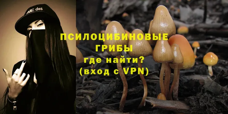 Галлюциногенные грибы Magic Shrooms  Челябинск 